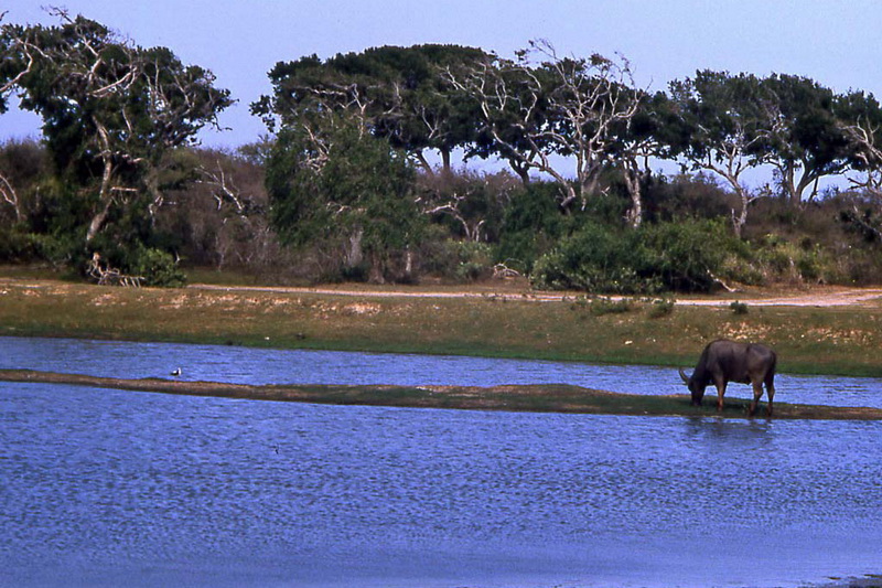 Sri Lanka, National parks